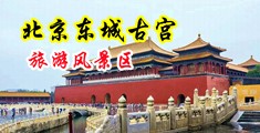 一级毛片女人蹲着尿尿蹲着尿尿蹲着操逼中国北京-东城古宫旅游风景区